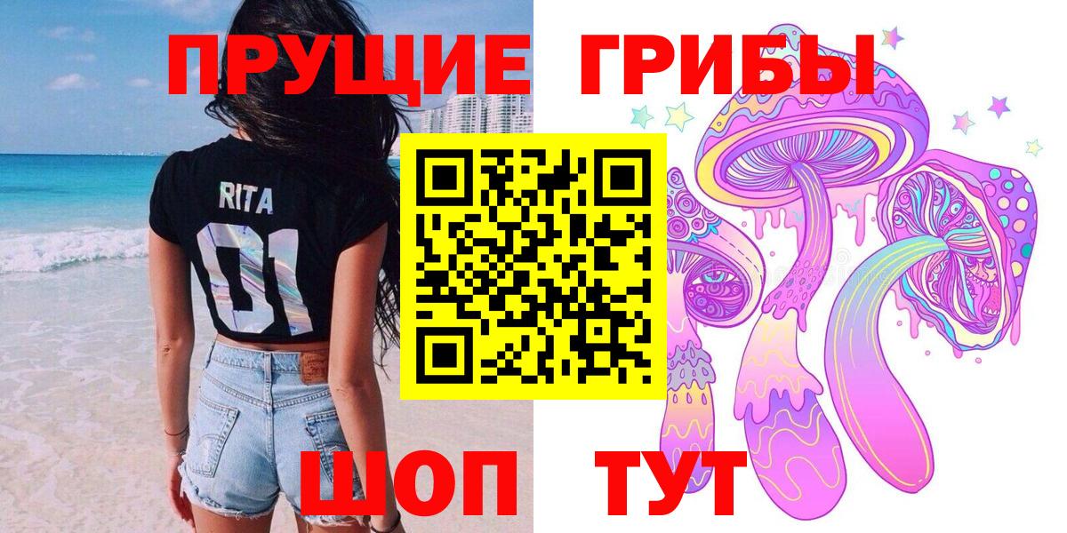 Анжеро-Судженск  Псилоцибиновые грибы Psilocybine cubensis  Вход с VPN 